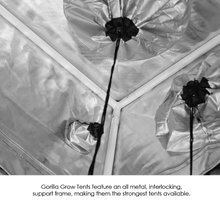 Load image into Gallery viewer, Gorilla Grow - GORILLA GROW TENT - 2&#39; x 4&#39; - SHORTY

