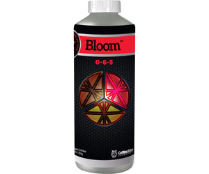 Cutting Edge Solutions - Bloom (0-6-5)