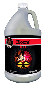 Cutting Edge Solutions - Bloom (0-6-5)